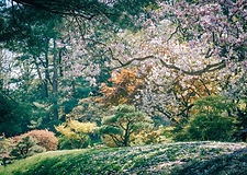 11187149_10153024781448393_3927240220548